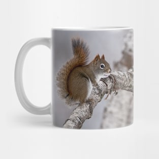 Red Squirrel Mug